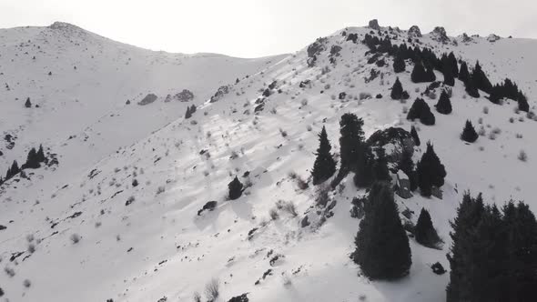 Aerial Landscape of Beautiful Winter Mountains