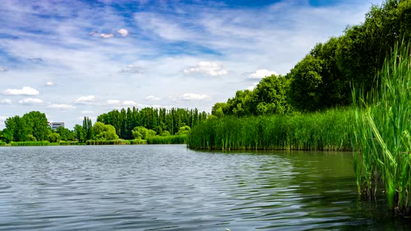 Green Urban Park