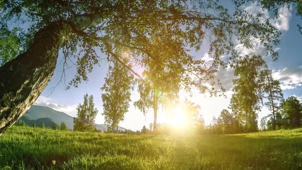 Mountain Meadow Time-lapse at the Summer or Autumn Time. Wild Nature and Rural Field. Motorised