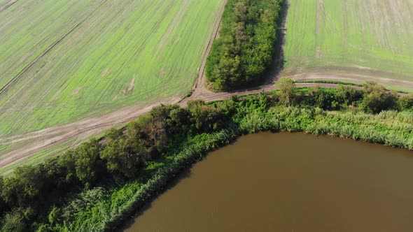 Aerial view of the beautiful trees and a pond.