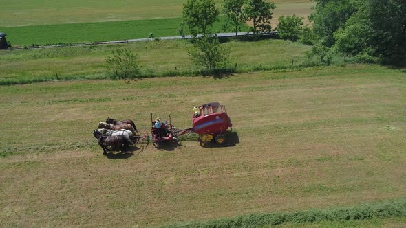 Aerial View of an Amish Farmer Harvesting His Crop with 4 Horses and Modern Equipment