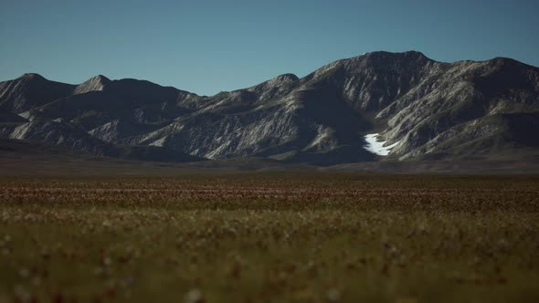 Panoramic View of Alpine Mountain Landscape in the Alps