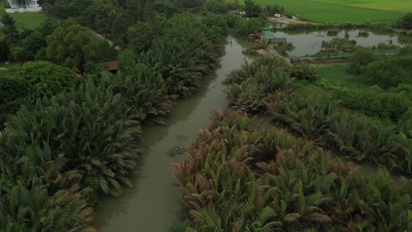 drone shot flying above wetlands and rice fields on the outskirts of Ho Chi Minh City, Vietnam