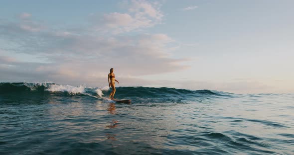 Surfing at sunset alt