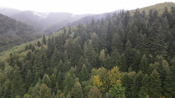 Aerial View of the Carpathian Mountains in Autumn. Ukraine