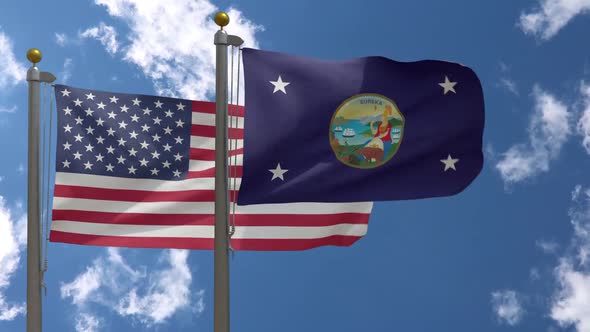 Usa Flag Vs Governor Of California Flag  On Flagpole
