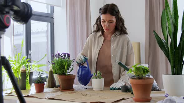 Happy Woman or Blogger Planting Flowers at Home