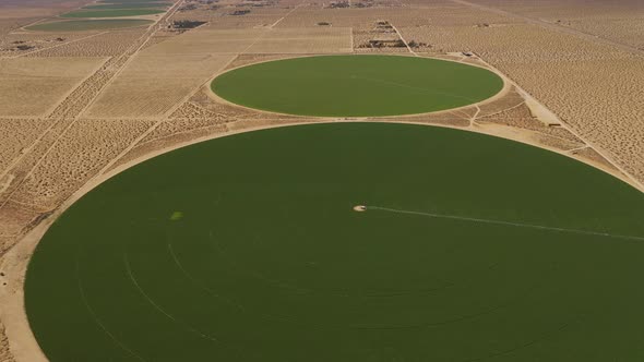 Aerial shot of circular farms in the California desert