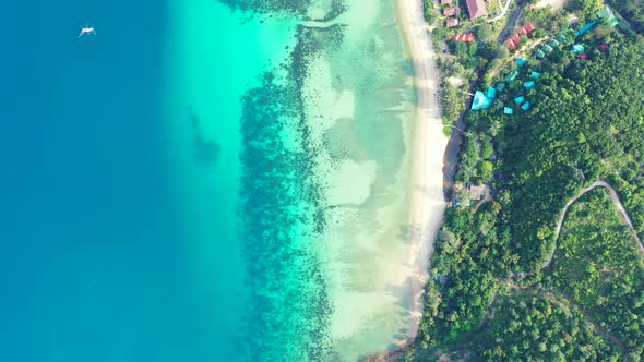 Wide drone copy space shot of a sandy white paradise beach and aqua blue ocean background 