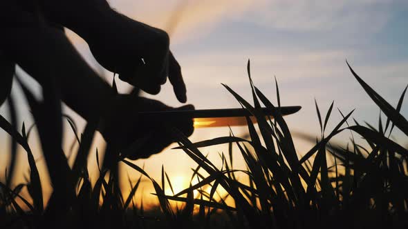 Agricultural Smart Farming