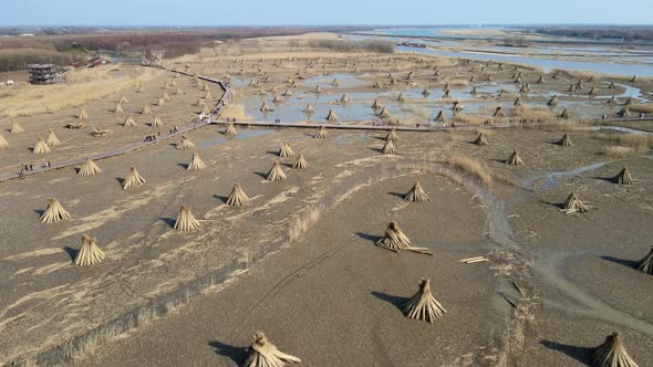 Aerial Wetland, Reed Marshes