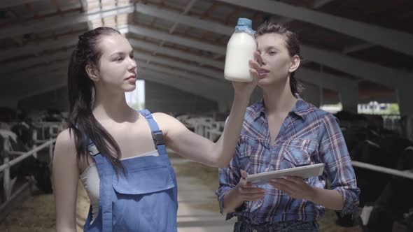 Portrait Two Professional Cute Female Farmer Workers on the Cow Farm Checking Quality of the Milk in