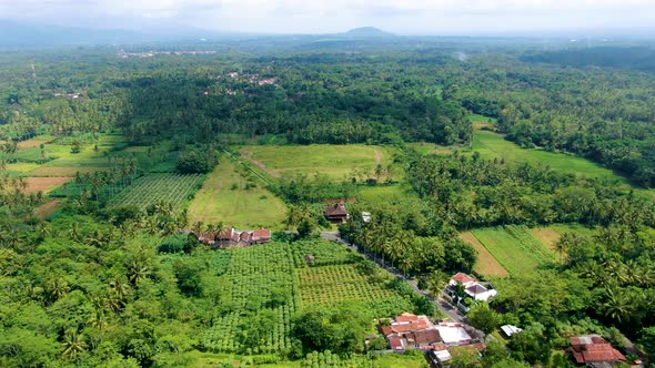 Idyllic lush green landscape of Muntilan village on Java, Indonesia, aerial view