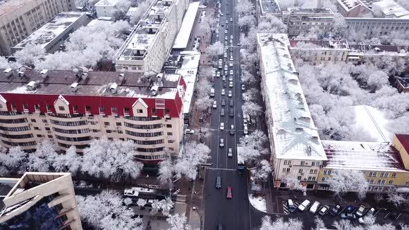 Snow-white trees among the stone houses of city