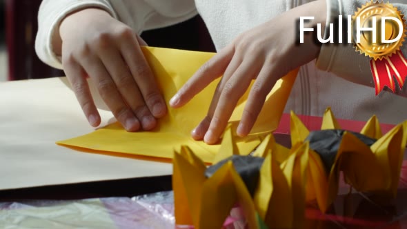 Kid Makes Sunflower From Colored Paper Two Paper