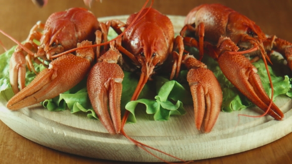 Crayfish Lobsters On a Tray