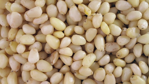 Handful Of Pine Nut Rotating On White Background