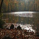 Lake Shore in Autumn - VideoHive Item for Sale