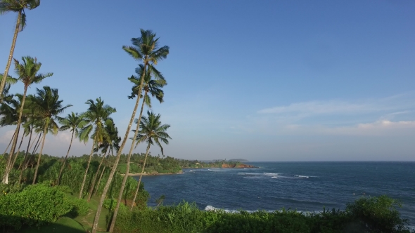 View To Ocean From Sri Lanka Island With Palms 79