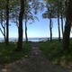 Forest 3 HDR Environment - 3DOcean Item for Sale