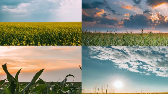 Time Lapse Timelapse Timelapse alt