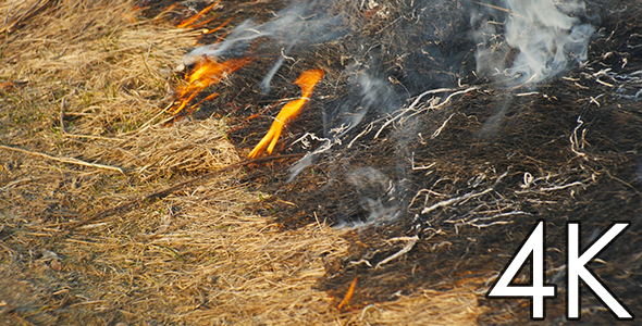 Burning Grass Steppe