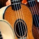 Ukulele Ident