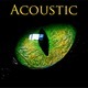 Inspirational Acoustic - AudioJungle Item for Sale