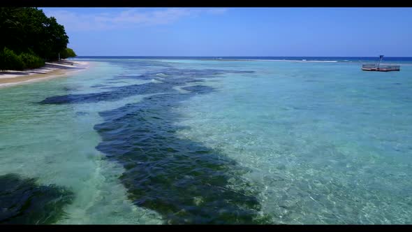 Aerial flying over tourism of tropical island beach wildlife by shallow lagoon with bright sandy bac