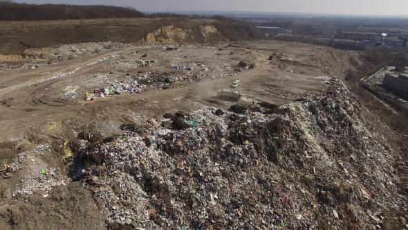 Landfill In Forest