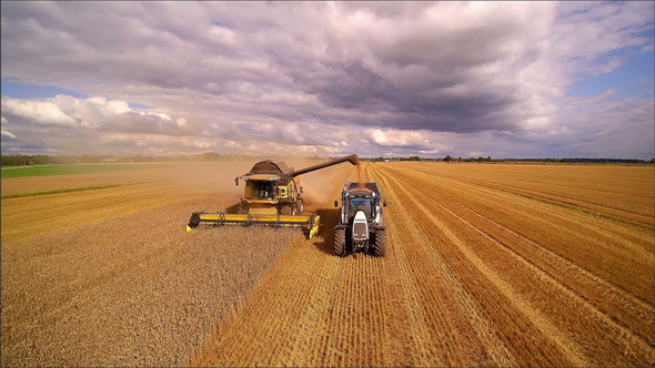 The Harvester Putting the Grains on a Truck