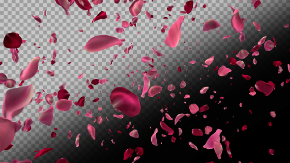 Realistic Rose Particle Transitions (4 Pack)