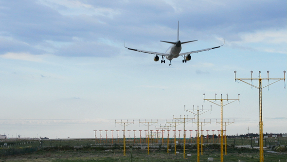 Airplane Landing in Airport Runway