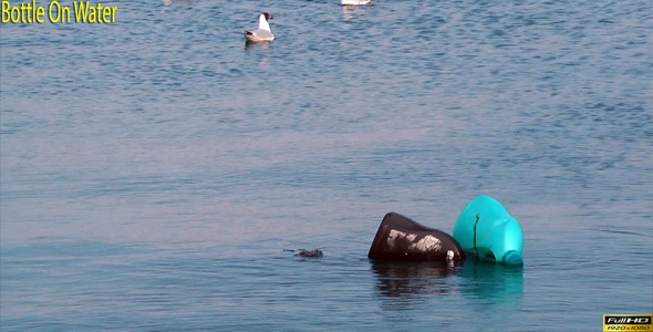 Bottle On Water