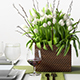 Tulip Centerpiece set - 3DOcean Item for Sale