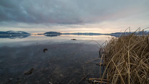 Time lapse moving over lake shore past reeds