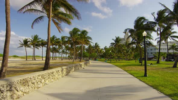 Park with palm trees and sidewalk