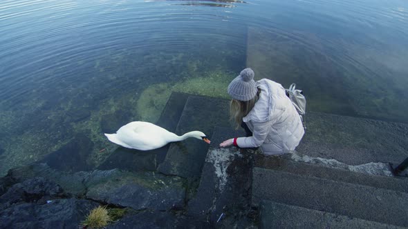 Woman feeding a swan at a lake