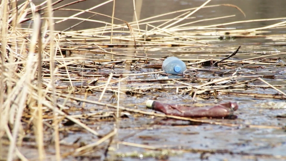 Garbage, Plastic Bottles In The River