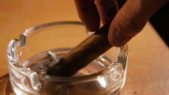 Smoking Cigar In An Ashtray.