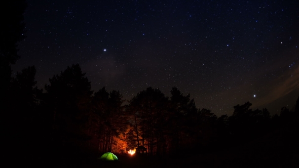 Tourist Camp In The Forest Under a Starry Sky