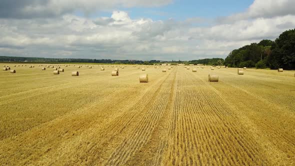 Hay Bales On The Field