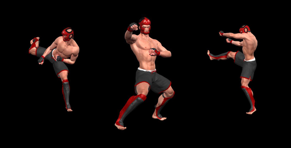 Martial Art - Male Fighter - Combo 01 alt