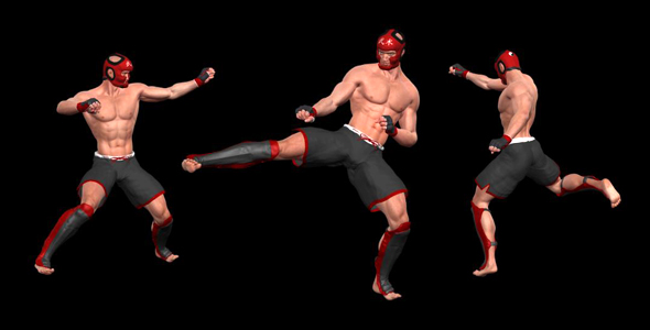 Martial Art - Male Fighter - Combo 04