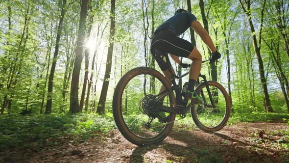 A Cyclist is Riding at High Speed Through the Forest