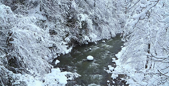 River in the Winter 