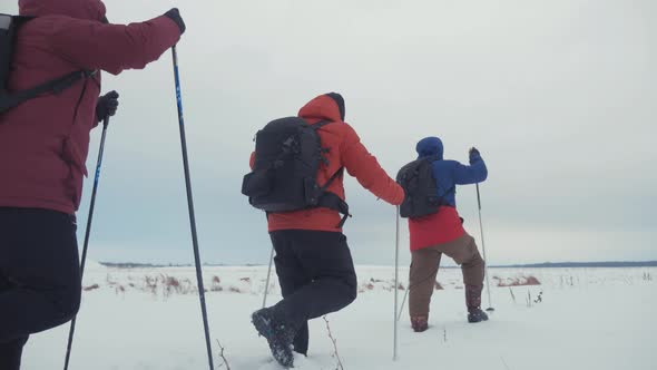 Three Tourist Hikers with Trekking Poles, a Backpack and Snowshoes. Happy Hikers Group Walking