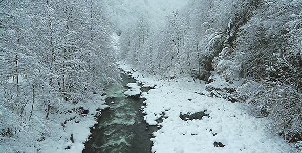 The River in The Winter
