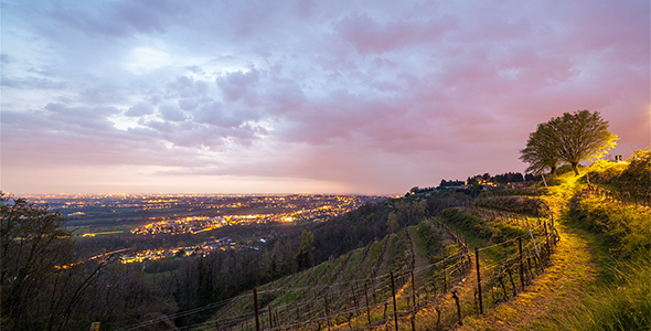 Day to Night City and Vineyard alt