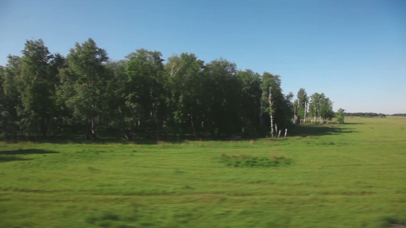 Siberian Landscape - View From Train